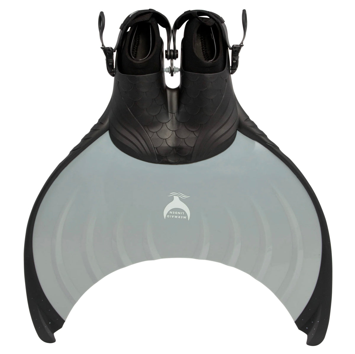 LindenReefSharkfront_1200x1200