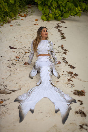 Leopard Shark GalleryTail by Cape Cali