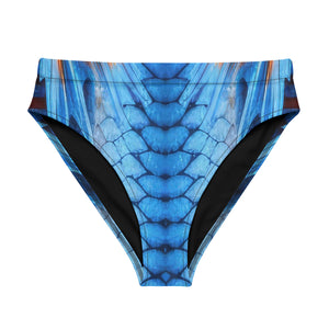 Dragon Eco Sport Bottoms