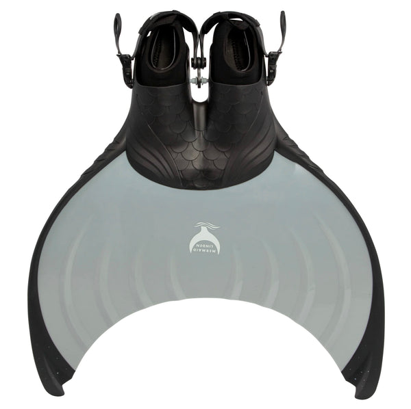 LindenReefSharkfront_grande.