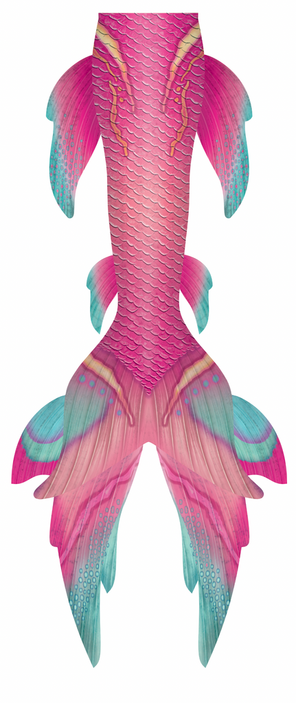 Paradise GalleryTail