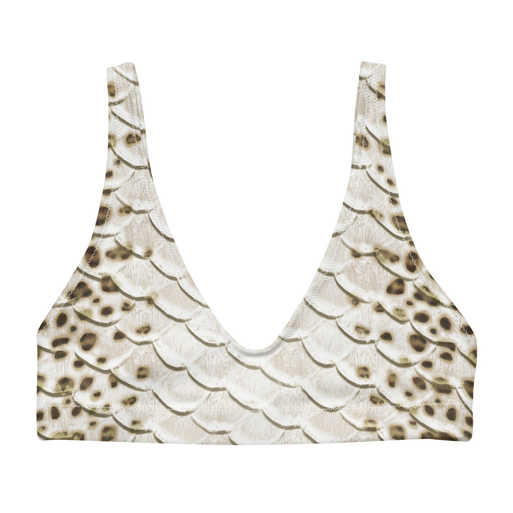 Leopard shark eco bikini top